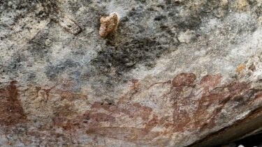 hulemaleri tanzania