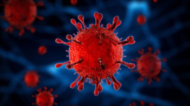 RNA-virusser coronavirus mutationer varianter sars-cov-2 evolution