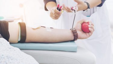 Bloddonor Tandkødsbetændelse