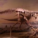 teenage t rex dinosaur udkonkurrere