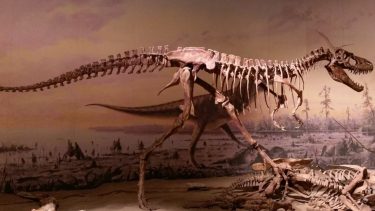 teenage t rex dinosaur udkonkurrere