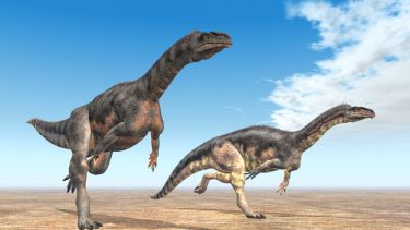 Plateosaurus, dinosaurus, dinosaurer, Grønland, klima, forskning