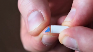 LSD mikrodoser svampe placeboeffekt