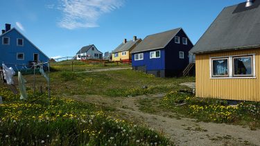 Grønland uran debat