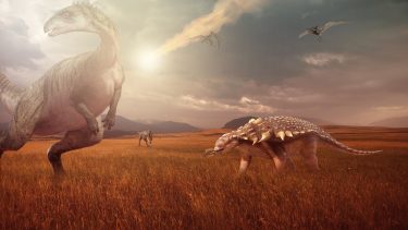 Dinosaur Meteor Massedød