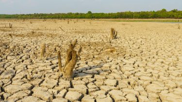 Klimaforandringer 2100 Sommeren Halvt år