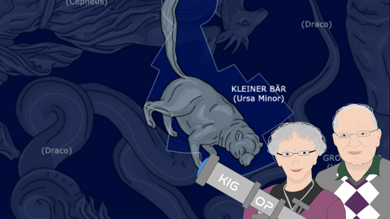 draco_dragen_ursa_minor_lille_bjoern_kig_op_i_maj