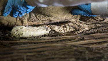 foster i biskop peder winstrups kiste