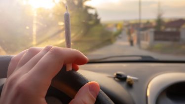cannabis THC hvor længe varer trip funktionsnedsættelse