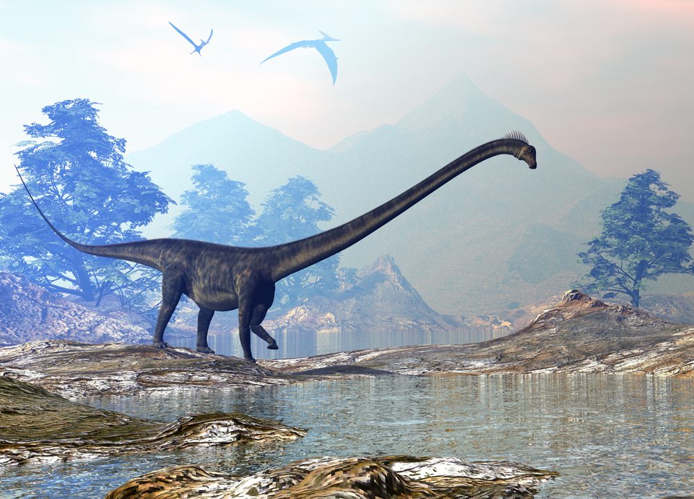 Dinosaur Sten Vandring