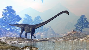Dinosaur Sten Vandring