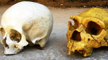 Hvornår opstod hvide mennesker hud evolution