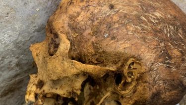bedstbevarede lig i pompeji