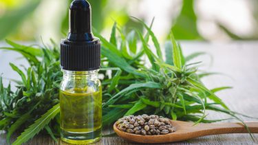 cannabis medicin cannabisolie skunk hash pot forsøgsordning lægemidler smerter