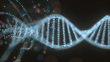 dna genetik dnastreng grammatik udvikler sig synkront
