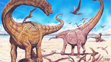 dinosaurer fossil hamititan silutitan