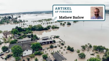 klimaforandringer klima IPCC rapport omstilling tilpasning FN målsætninger klimarisici konkurrenceevne værdikæde Paris-aftale økonomi vækst profit skovrejsning biomasse biokul biochar algeopblomstring bioenergi jordbearbejdning havalkalinitet