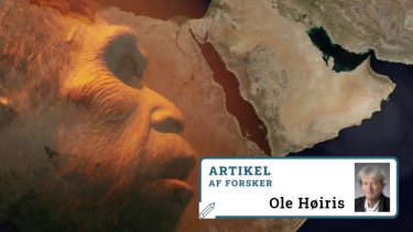 menneskets oprindelse_udvikling_homo sapiens_home erectus_denisova_vandring_afrika