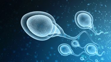 Sædceller mutation barnløshed årsag dansk forskning