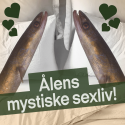 ål sex gydning mysterium videnskab