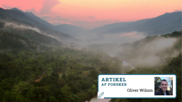 Brasilien regnskov klima klimaforandringer miljø arter biomet diversitet kulde varme opvarmning