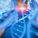 CRISPR genredigering mere naturlig skrue op og ned blodceller