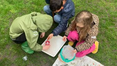 naturfag udeskole natur biodiversitet klimaforandringer folkeskolen bæredygtighed grundskolen