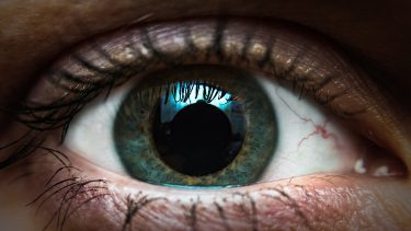øje pupil