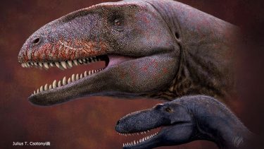Ulughbegsaurus uzbekistanensis dinosaur