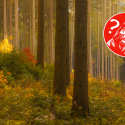 efterår quiz videnskab forkølelse influenza halloween