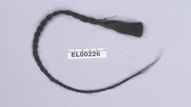 Efterkommer Sitting Bull