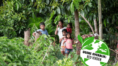 amazonas_bevaring_optimized