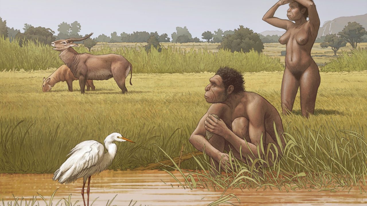 homo bodoensis