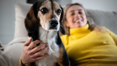 Hund kæledyr levetid sundhed genetik slidgigt foder motion kropsvægt træning bonding behandling