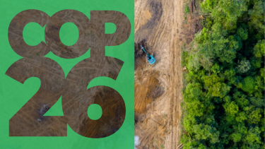 Skovrydning agerbrug landsektor COP26 klima klimaforandringer skove naturskove oprindelige samfund