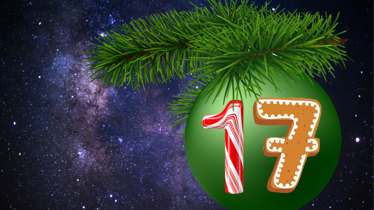 17. december quiz teenagere
