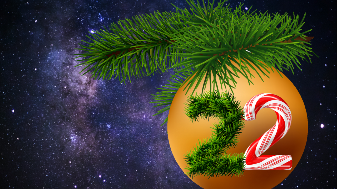 22. december quiz skrald affald
