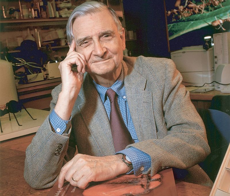 Edward O.Wilson myrer biodiversitet miljø planetære grænser Jorden mennesket udslettelse bevaring