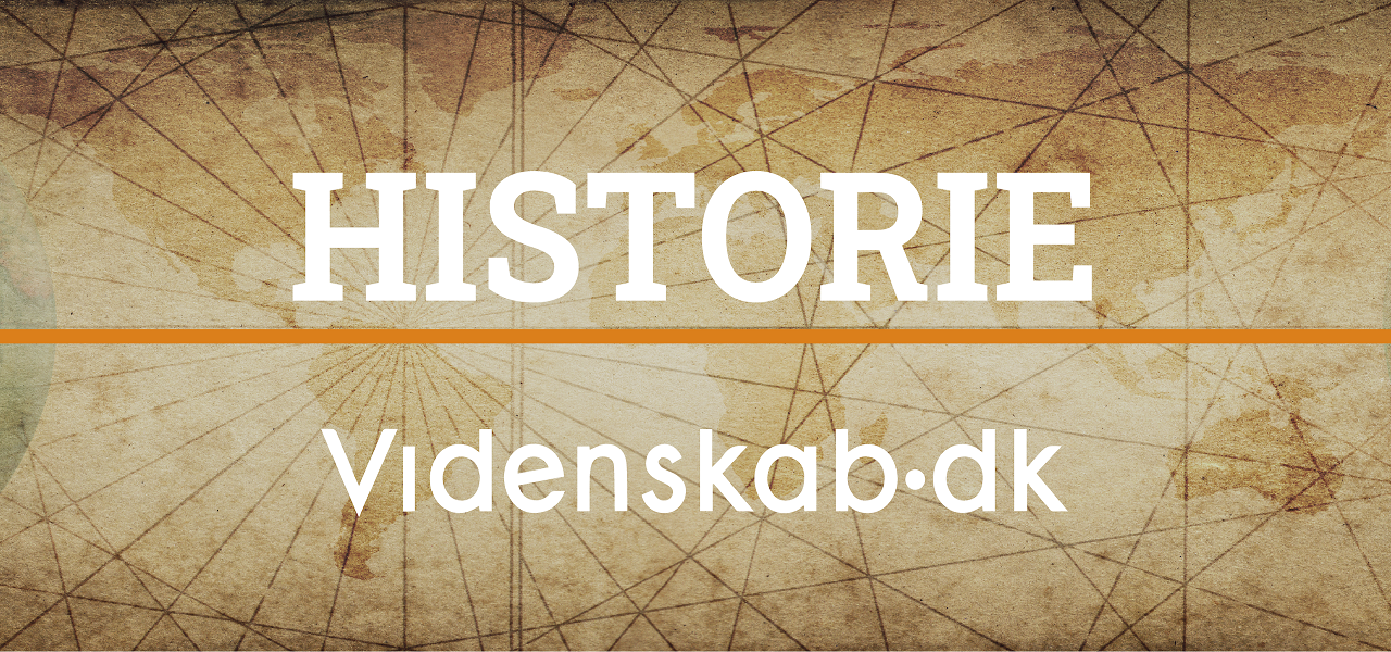 nyhedsbrev historie arkæologi videnskab forskning