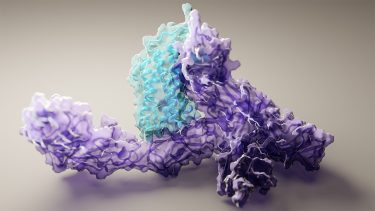 Årets videnskabelige gennembrud 2021 Science proteinfoldning