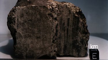 mars meteorit 1984