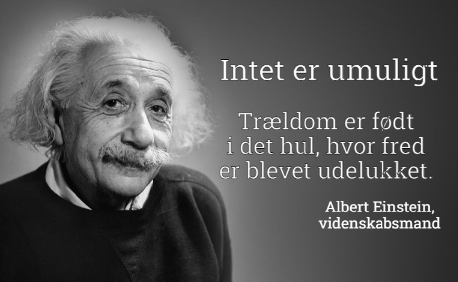 Einstein Bullshit