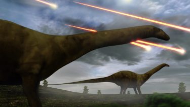 dino dinosaur asteroide nedslag økosystemer forår klima