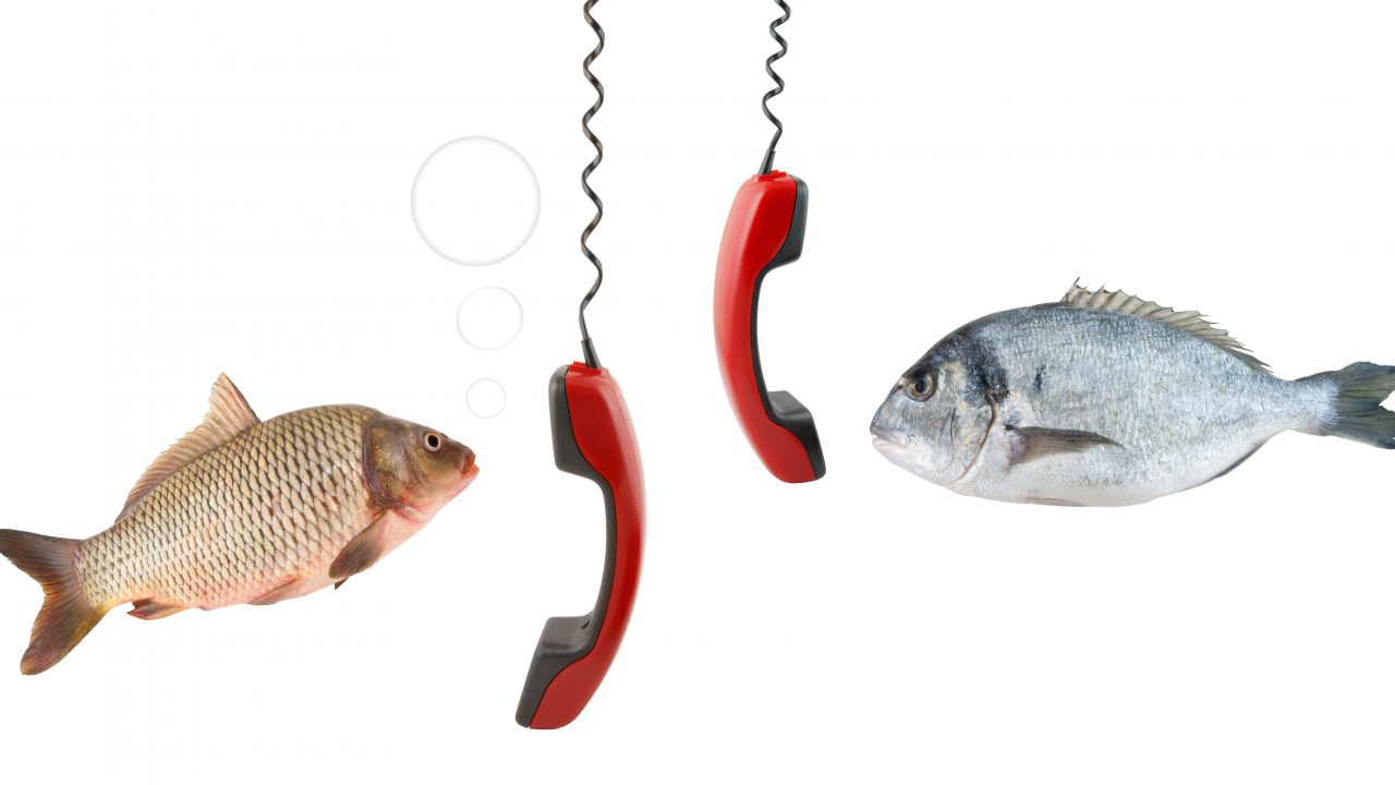 fiske taler telefon