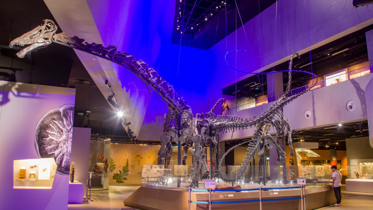 dinosaur-snot forkølet dinosaur