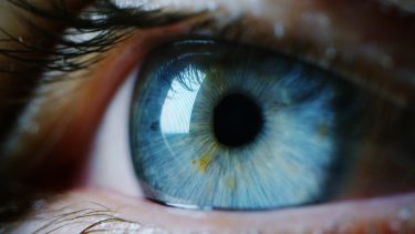 Øjne syn psykologi hjerne