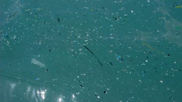 mikroplastik i havet