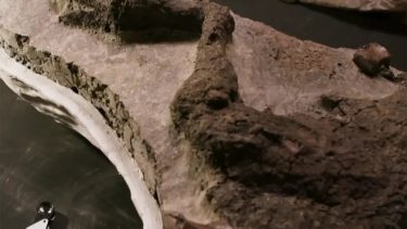 dinoben