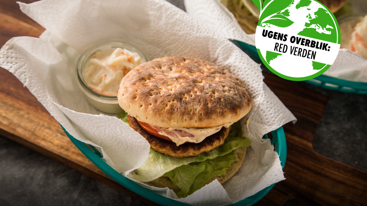 plante_burger
