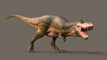 t.rex korte arme ny teori